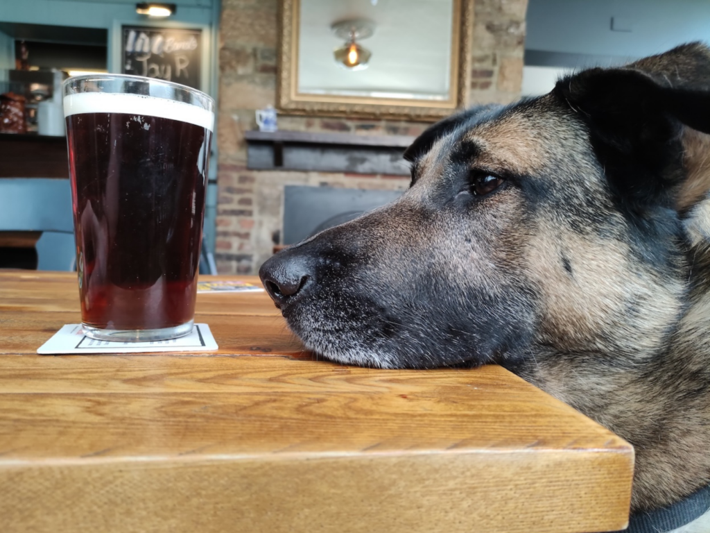 Retired police dog Ivan
