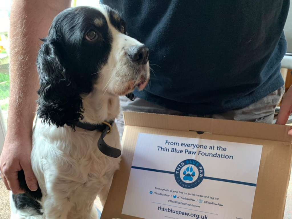 Retired police dog JJ with his Thin Blue Paw welcome box