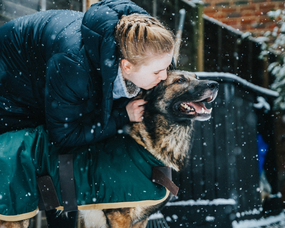 Retired prison dog Jax and Hannah