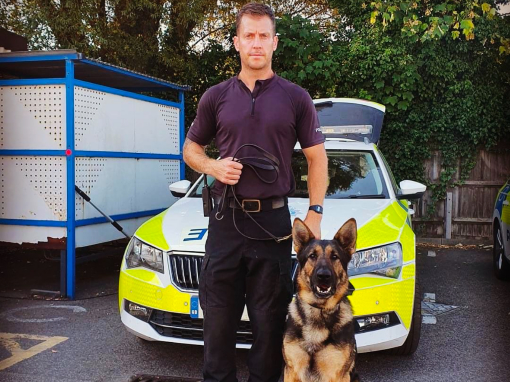 Police dog Rogue on duty