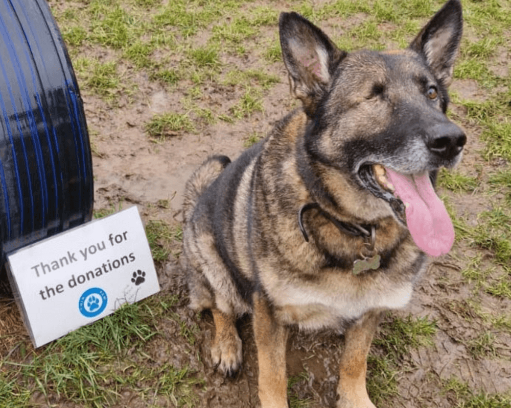 Retired police dog Cjak says thank you
