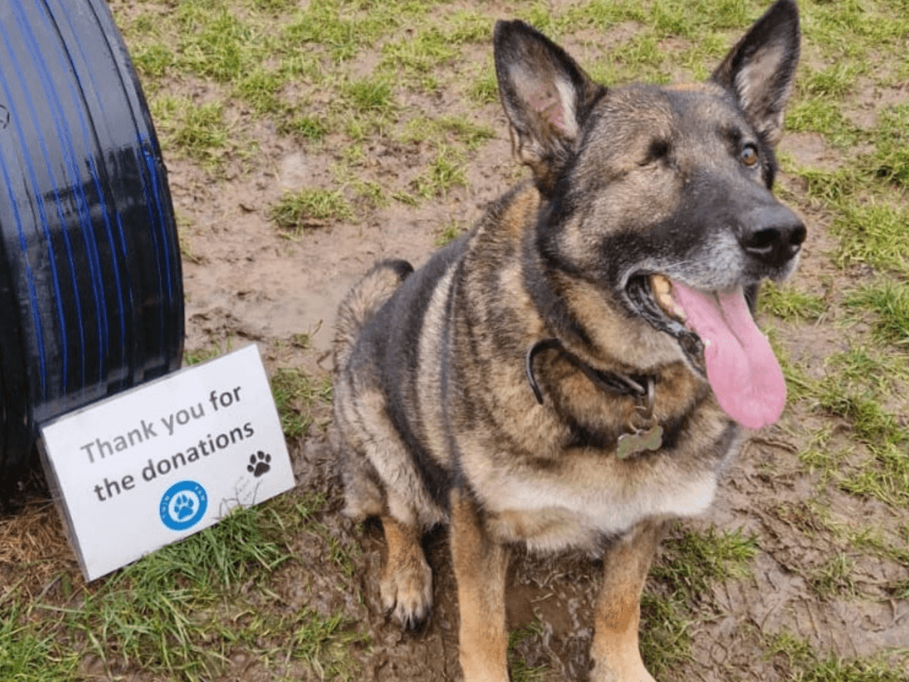 Retired police dog Cjak says thank you