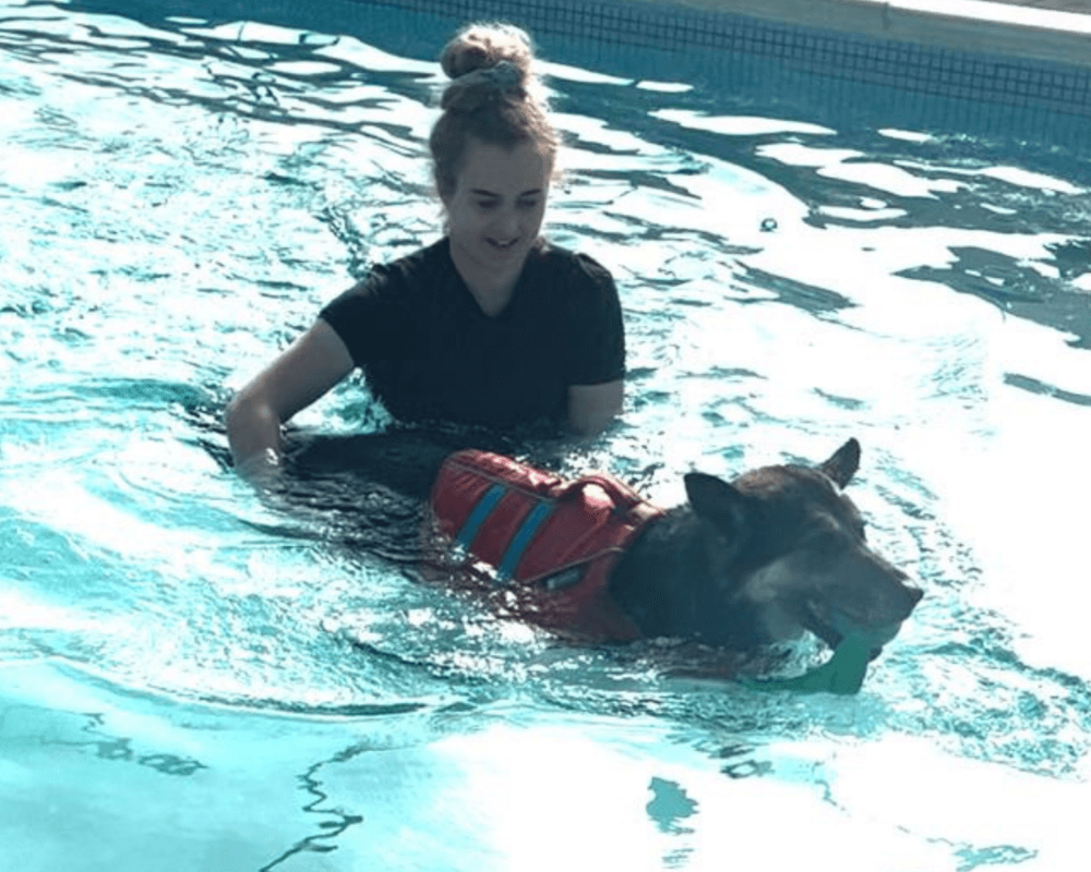 Retired police dog Elsa at hydrotherapy