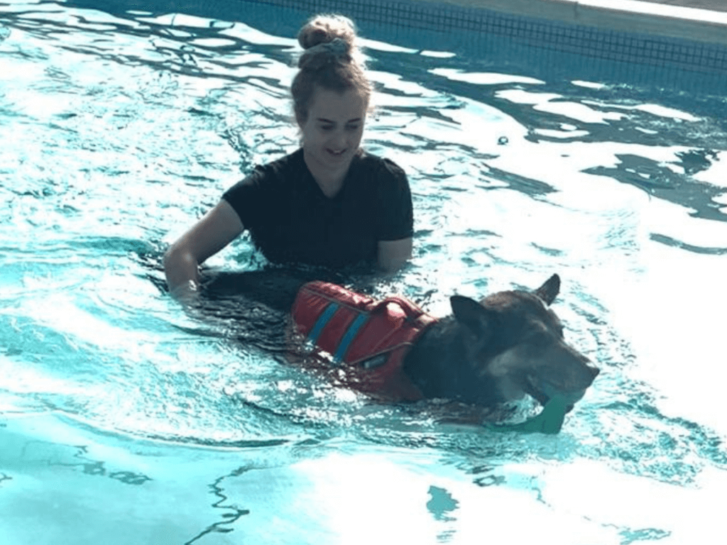 Retired police dog Elsa at hydrotherapy
