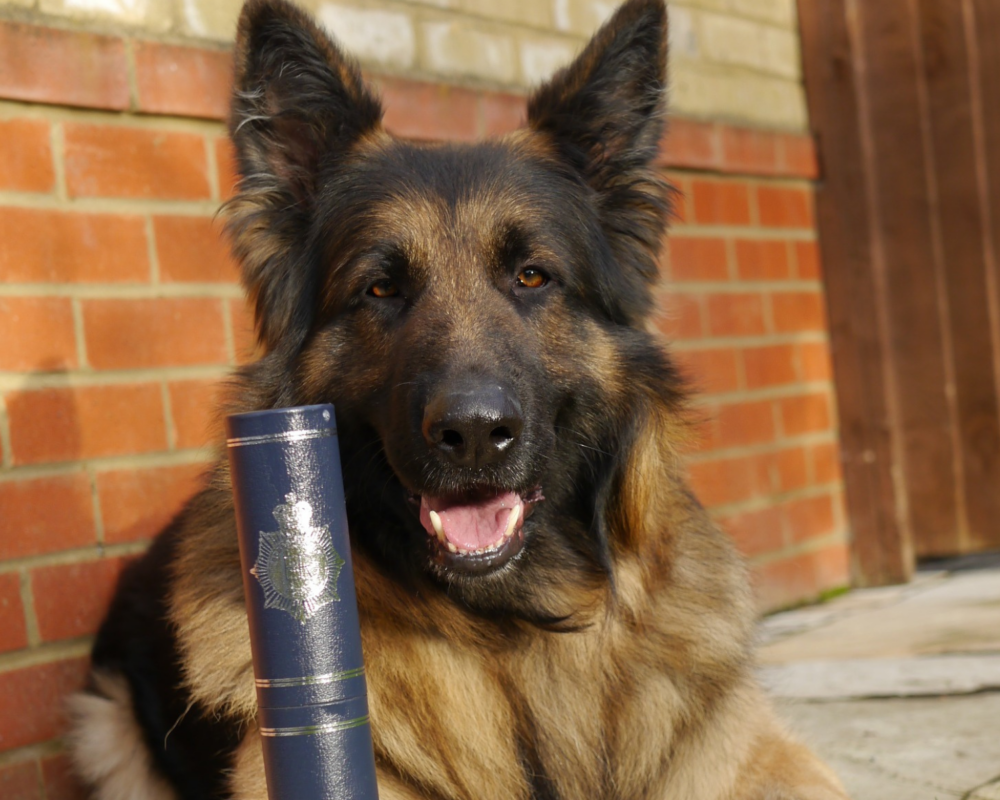 Retired police dog Razor