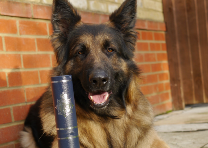 Retired police dog Razor