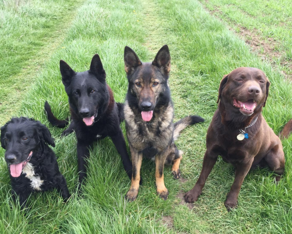 Cali and her friends