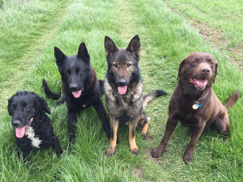 Cali and her friends