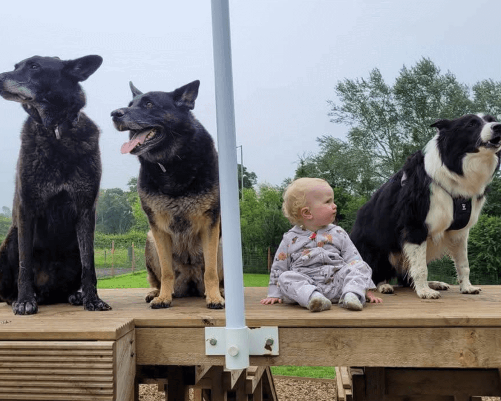 Rico, Hopi and Jack with their little sister