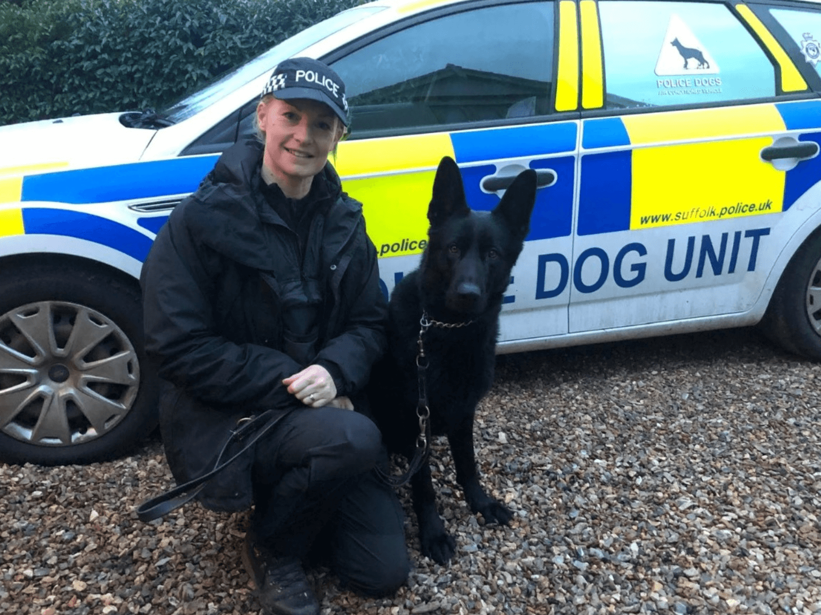 Police dog Nipper on duty