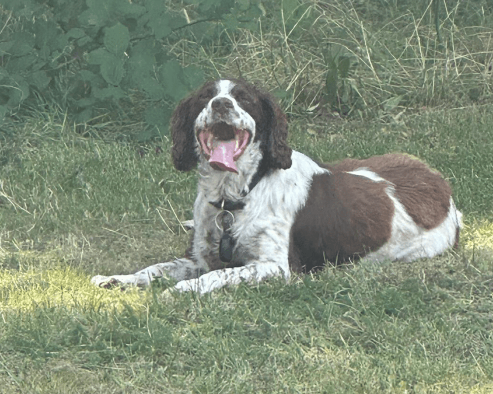 Stan relaxing in the garden