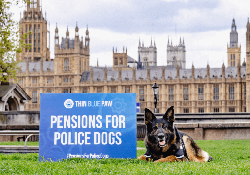 Police dogs deserve a pension: Campaign launched