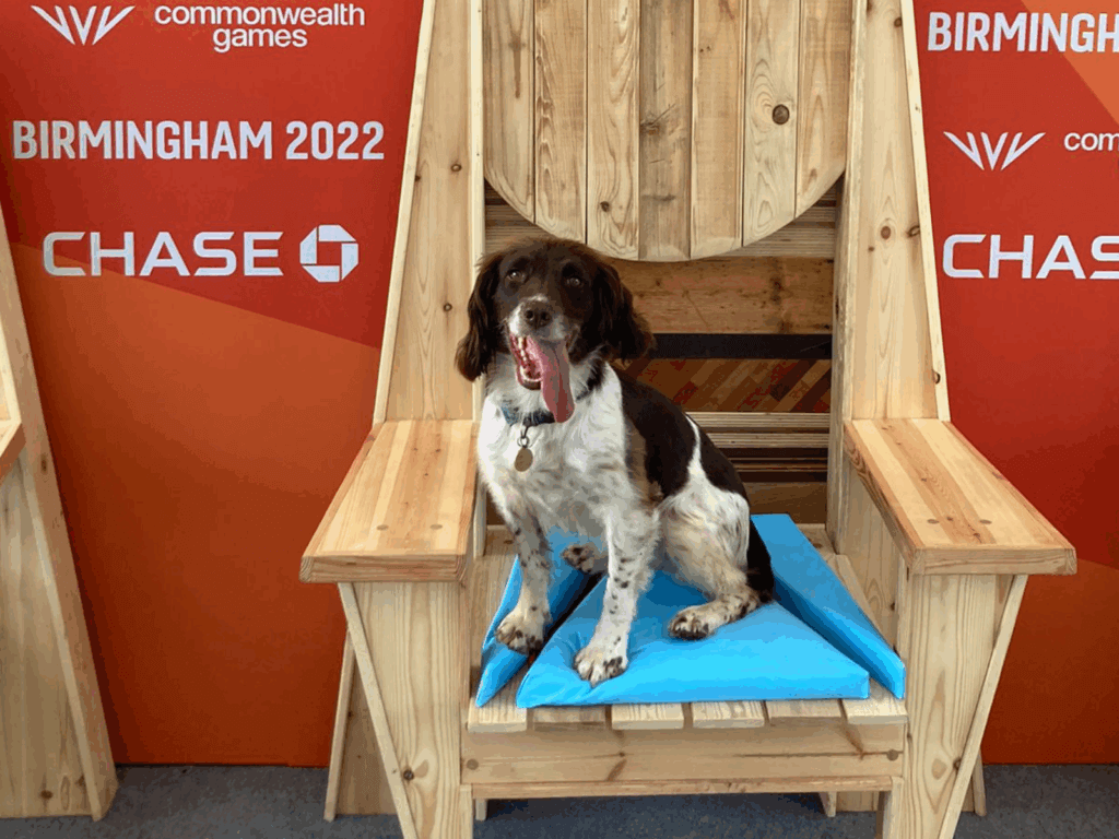 PD Izzy working at the Commonwealth Games