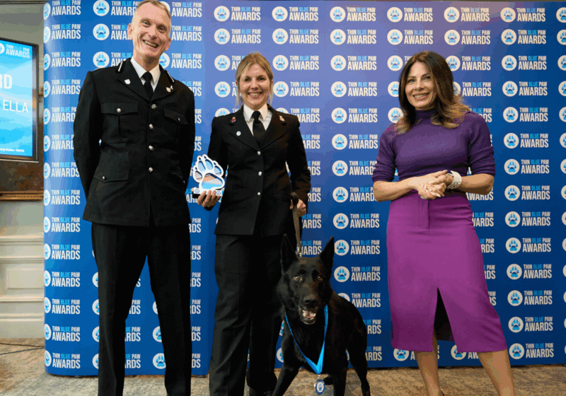 Awards celebrate bravest police dogs