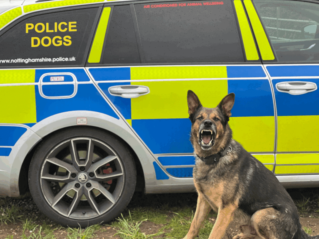 Police dog Monty