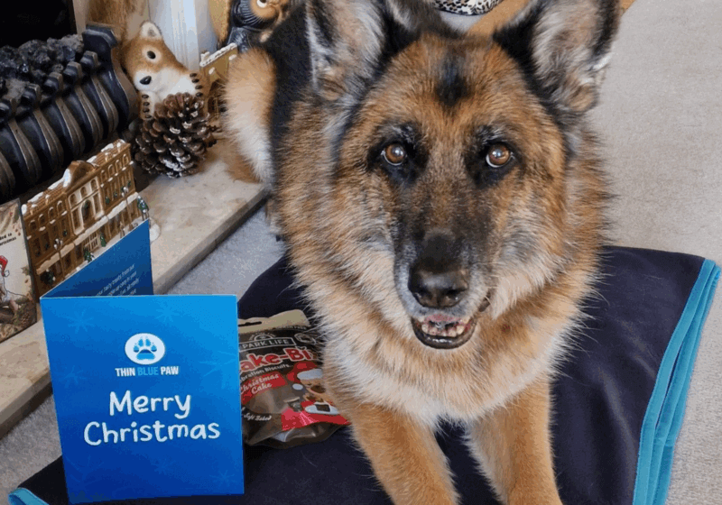 Christmas gifts for retired police dogs