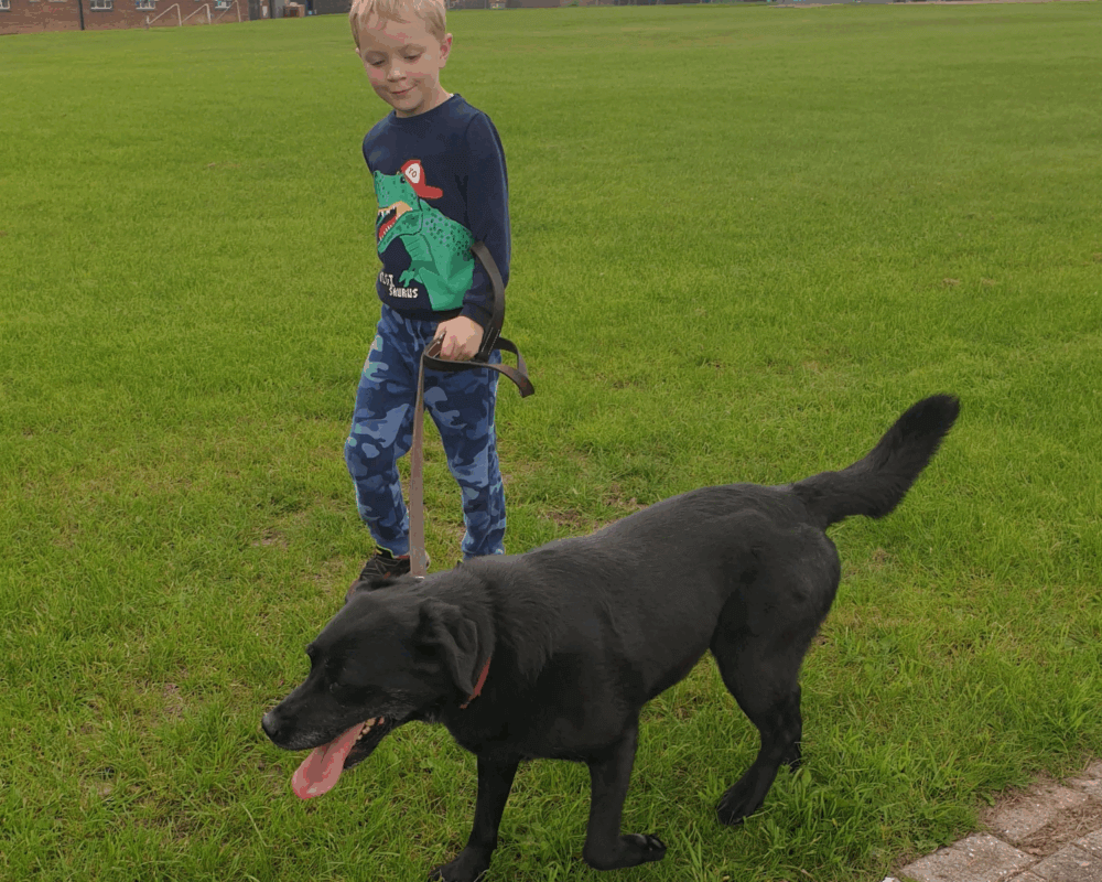 Retired police dog Carly with one of her new best friends