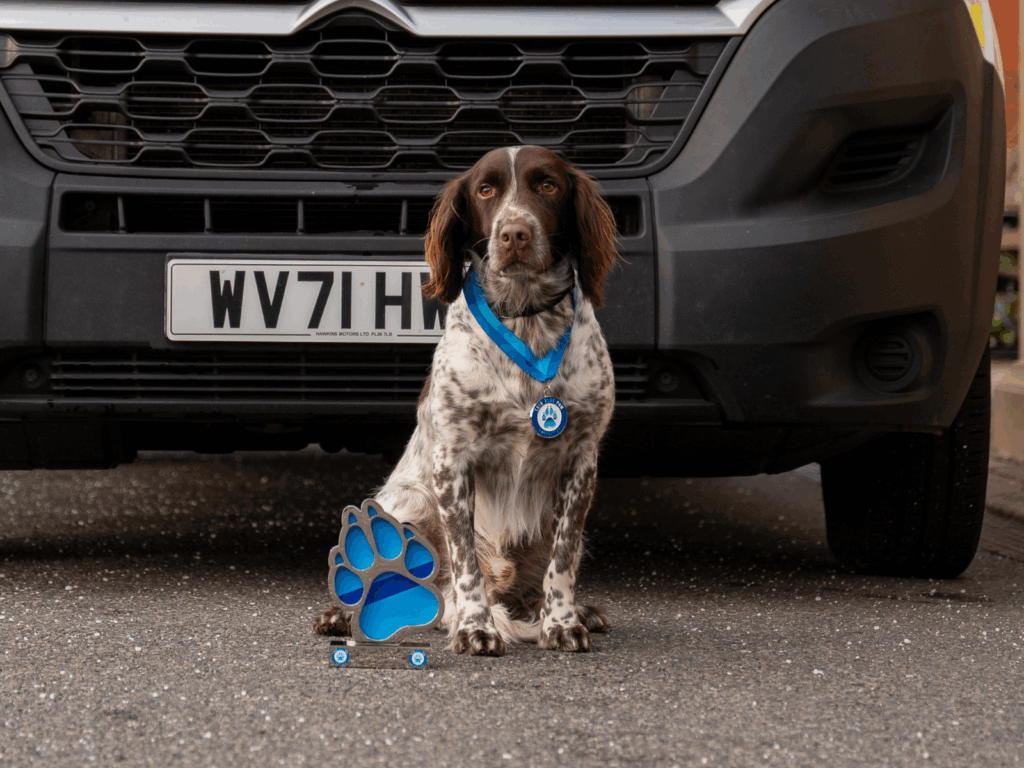 Military working dog Paul with his Thin Blue Paw Award