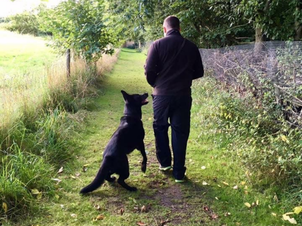 Retired police dog Floyd walks alongside his handler, James