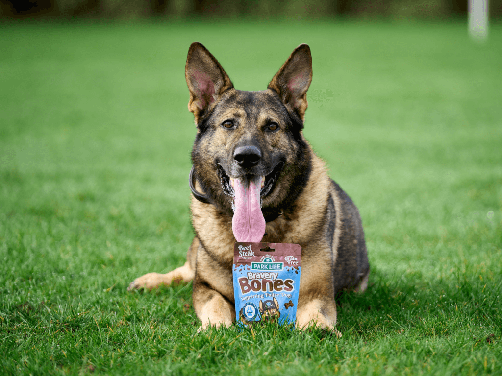 Retired police dog Wilson poses with a packet of PARK LiFE's Bravery Bones