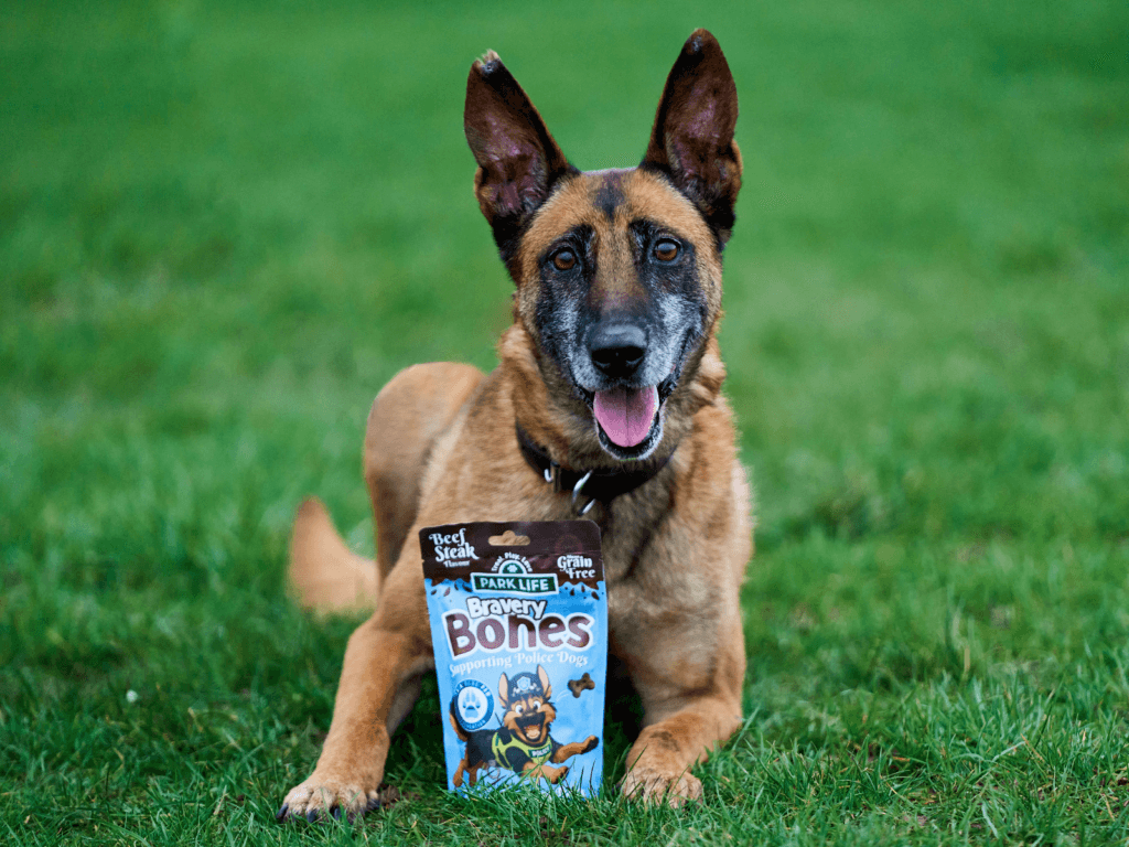 Retired police dog Cookie poses with a packet of PARK LiFE's Bravery Bones