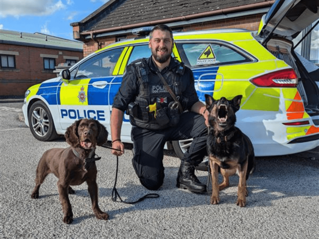 Police dog Stella with her handler, Adam, and police dog Ziggy