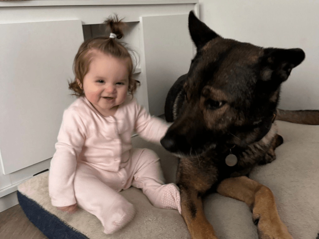 Retired police dog Bane with Aurora-Maeve, two