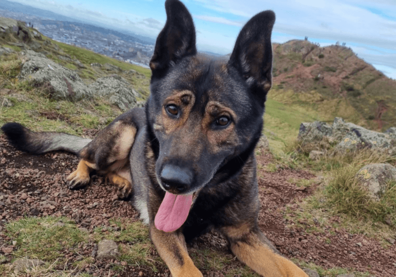 Charity gives family time to say goodbye to RPD