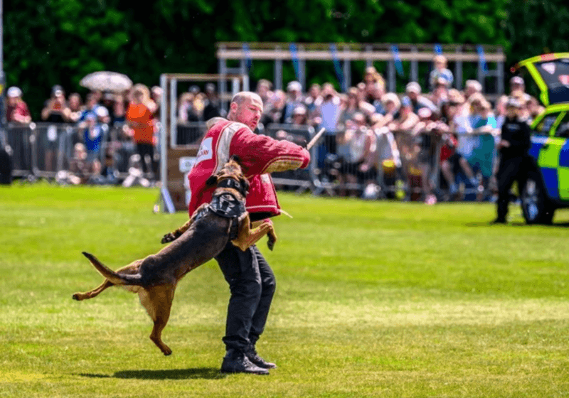 Foundation sponsors National Police Dog Trials