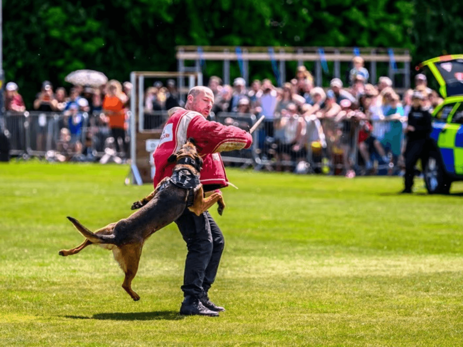 National Police Dog Trials © NPCC
