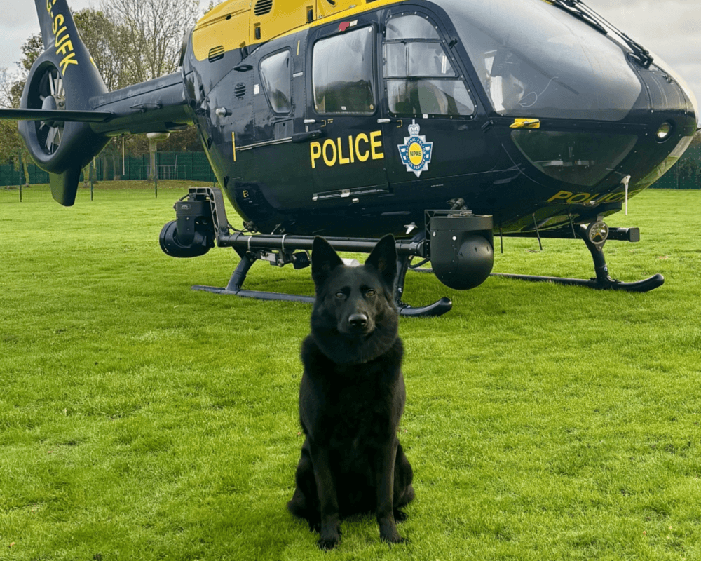 Police dog Bella sits beside a police helicopter