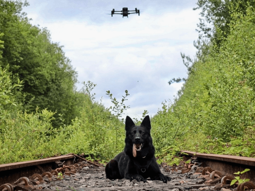 Police dog Bella lays down as a drone flies overhead