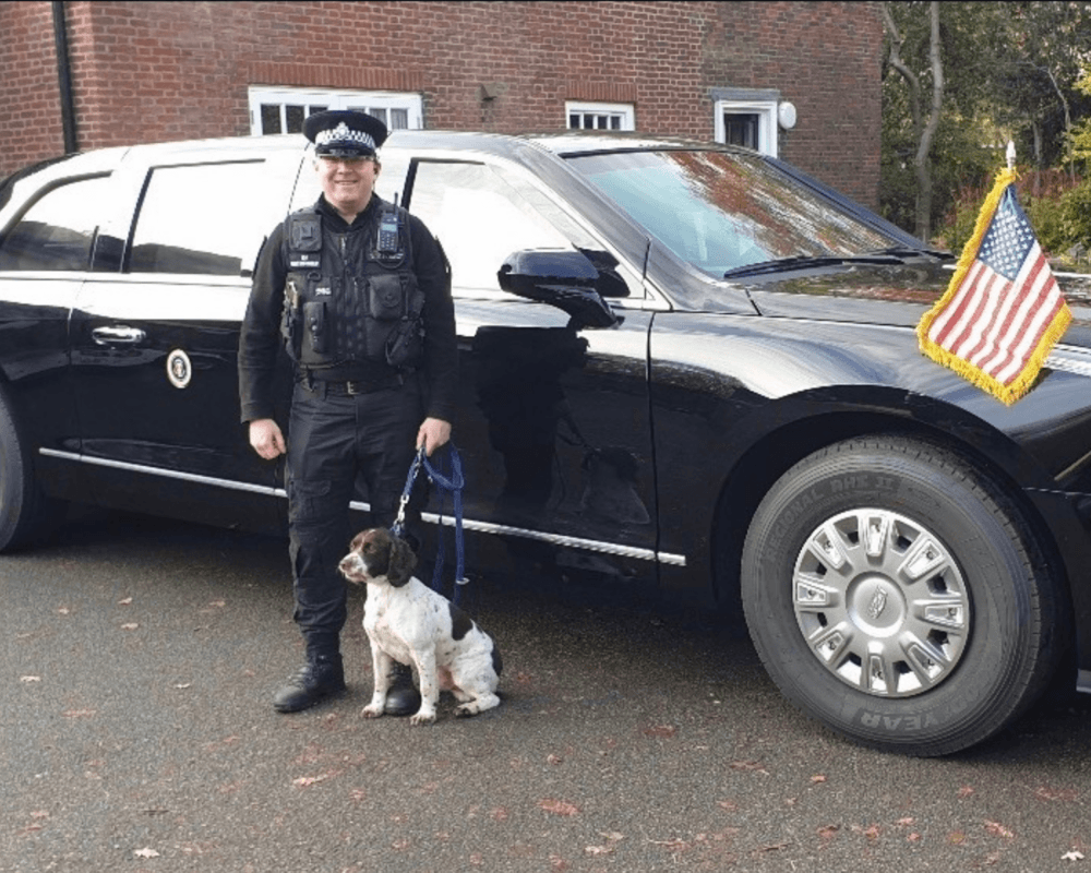 Police dog Chips during his service protecting the US Ambassador