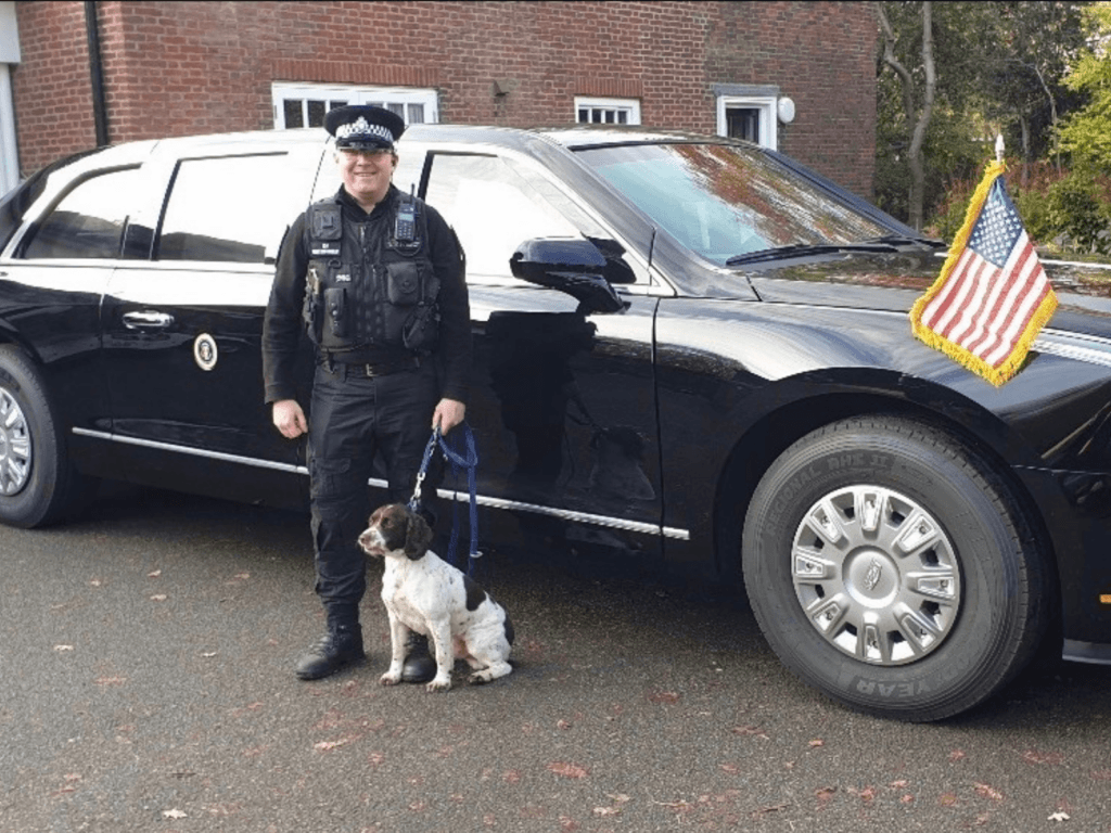 Police dog Chips during his service protecting the US Ambassador