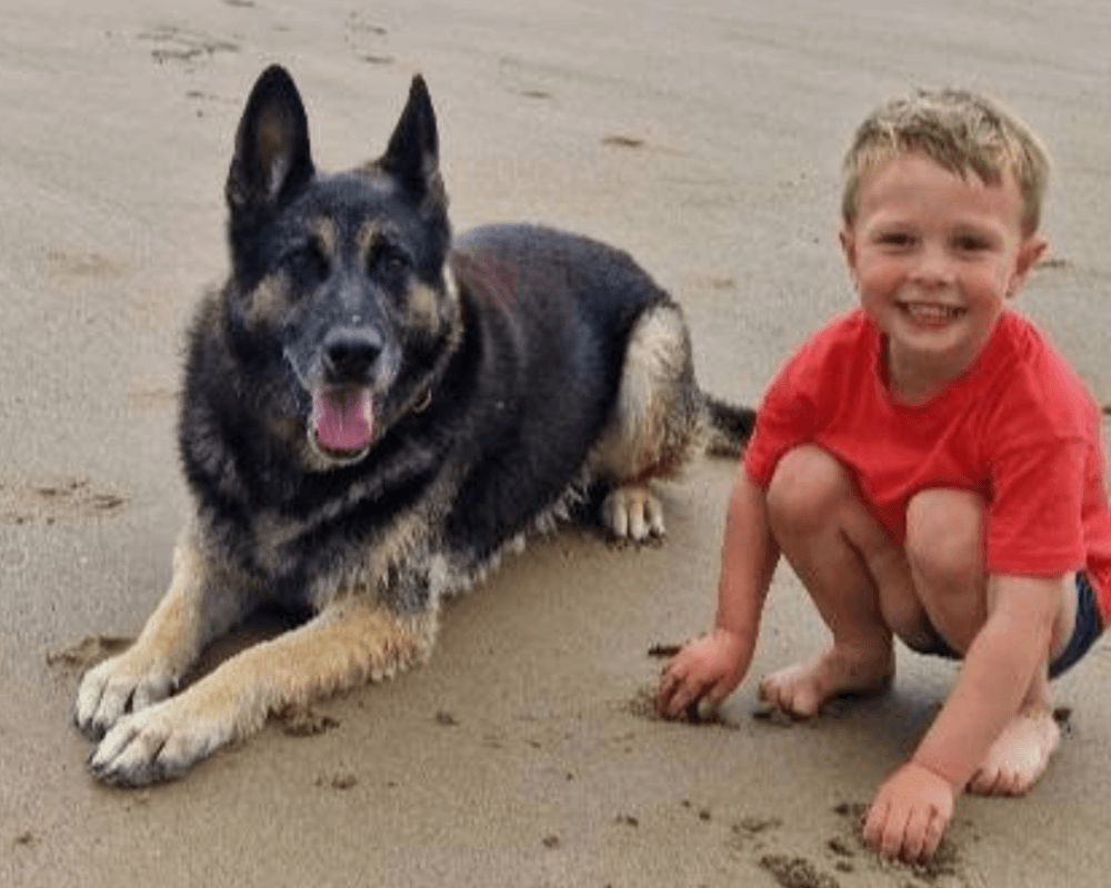 Retired police dog Xavi on the beach with one of his owner's sons
