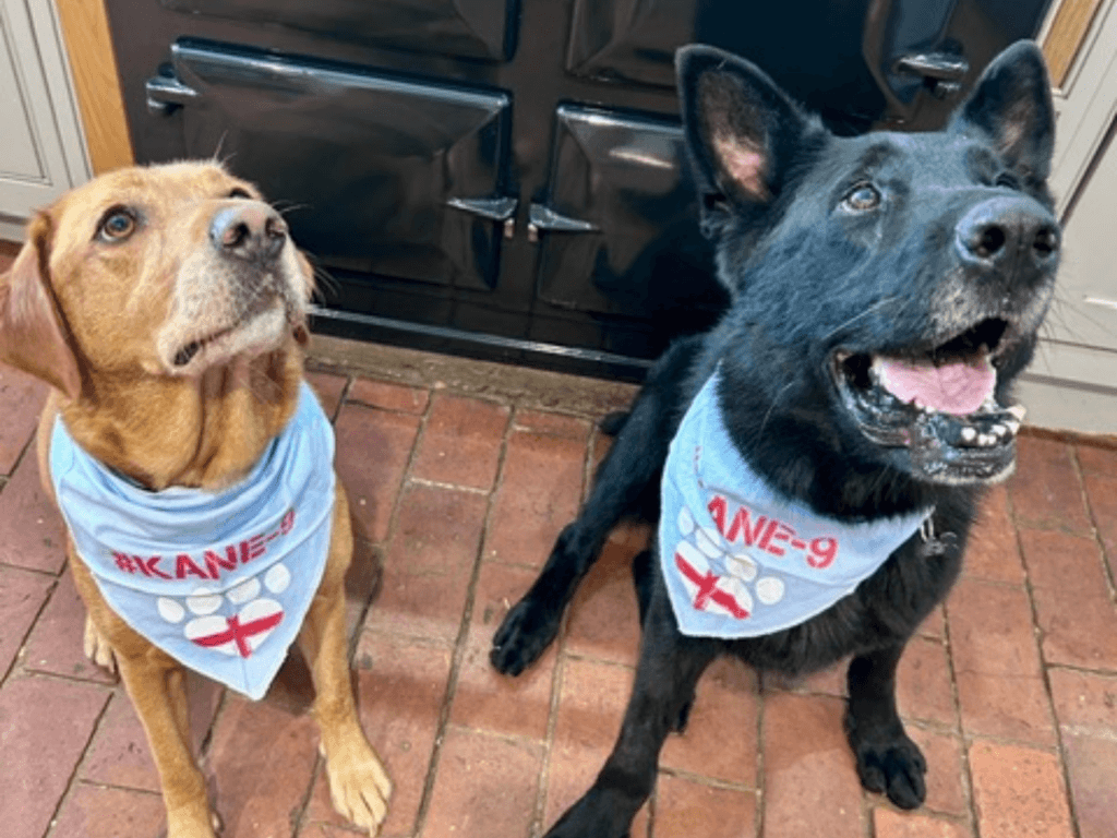 Retired police dog Tsar cheering on England