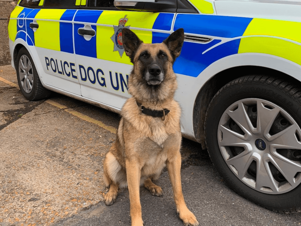 Police dog Polly