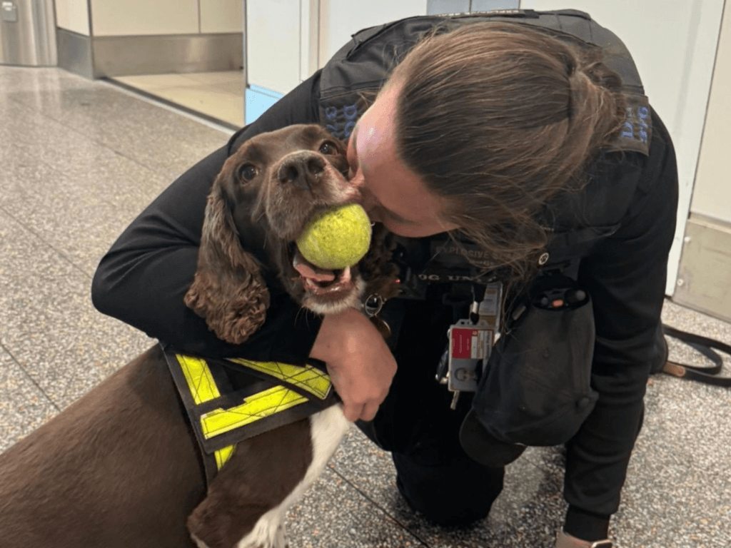 Police dog Bear on his final day on shift is hugged by his handler
