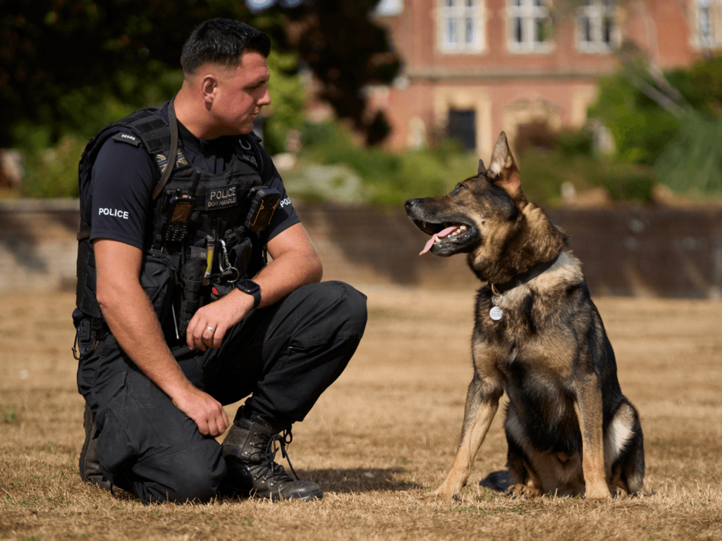 Police Dog Boss with handler PC Daniel Carter