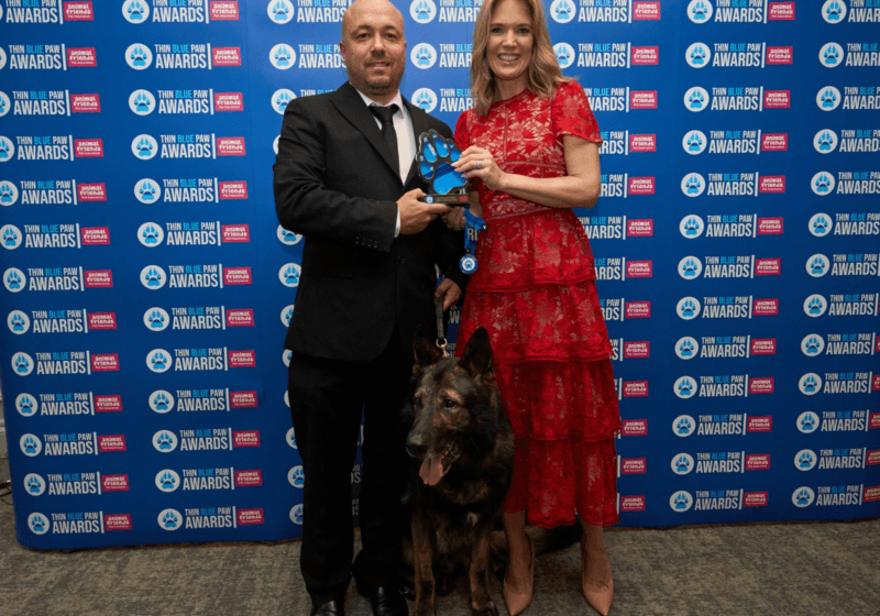 Top police dogs named at annual awards